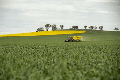 Fertilizantes